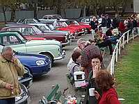 Freeling Oval for lunch