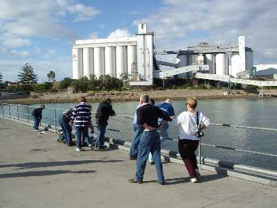 Grain bulk handling jetty at Wallaroo