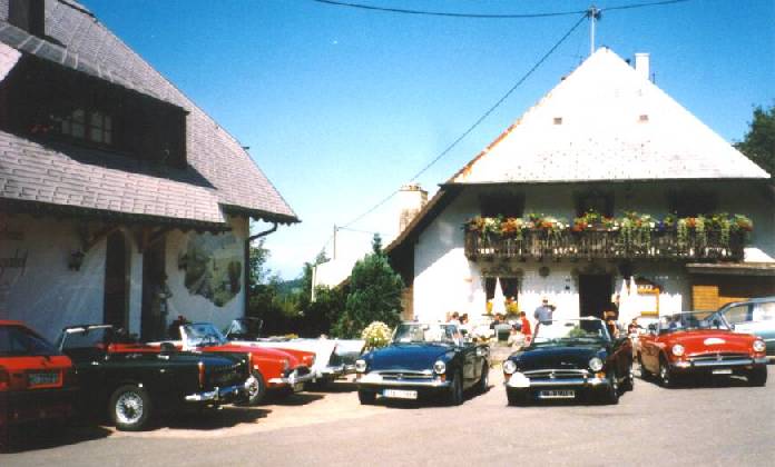 Alpines and Tigers at G�stehaus Z�hringer Hof